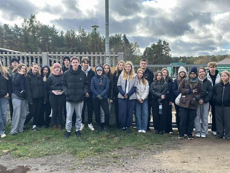 Kolejny rok w schronisku w Sosnowicach